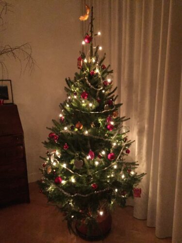 kerstboom