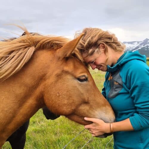 tamar valkenier paard