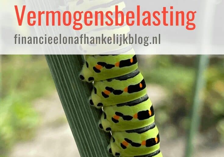 Vermogensbelasting 2025 36 Mr FOB