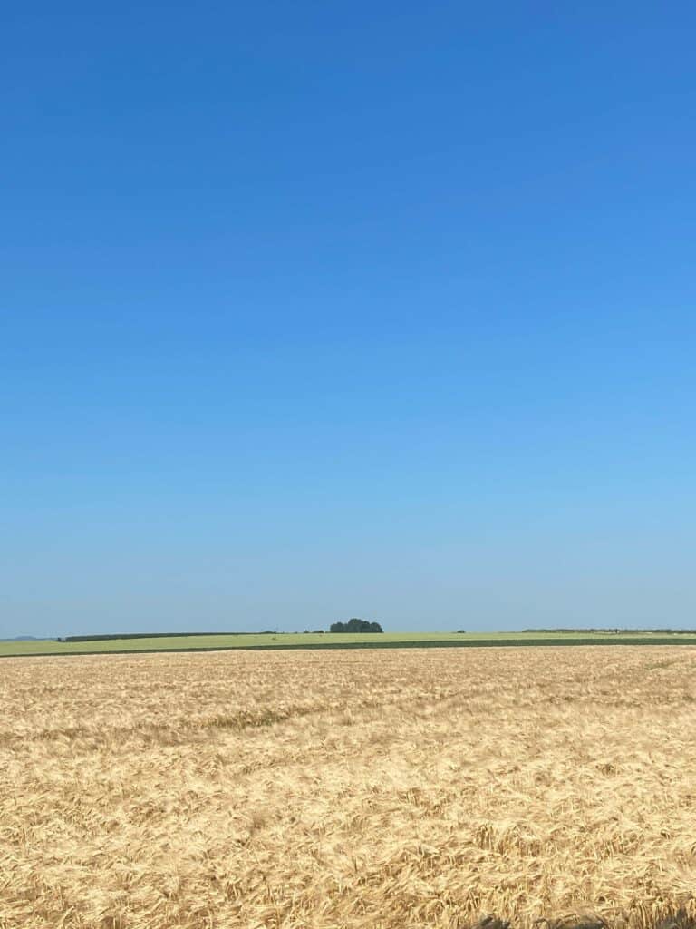 Centraal Beheer Beleggen review 2024 Mr FOB